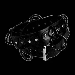 Funk Plus - Large Black Ring Belt Accessories